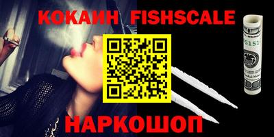 мдпв Камышлов