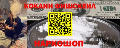 мдпв Камышлов