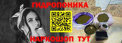 мдпв Камышлов