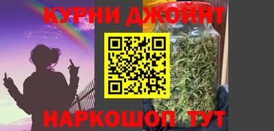 мдпв Камышлов