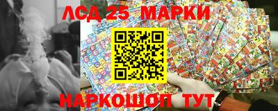мдпв Камышлов