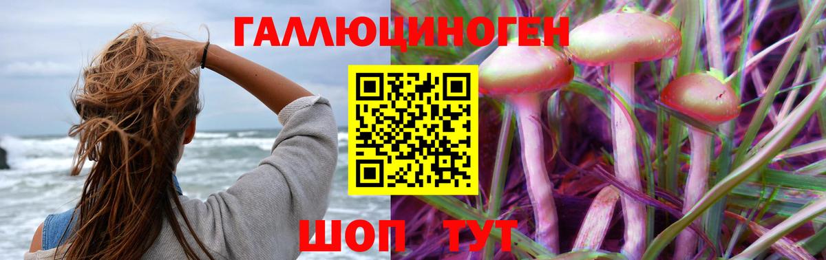 Псилоцибиновые грибы Psilocybe Красноуфимск